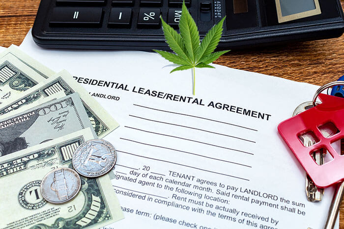 3 Ways to Accommodate Cannabis Use in Your Lease Agreement 2 - cannabis lawyer - Alves Radcliffe (1)
